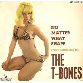 Download track Don'T Think Twice, It'S All Right The T - Bones