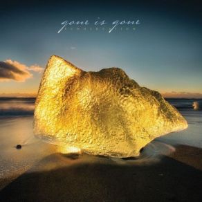 Download track Echolocation Gone Is Gone