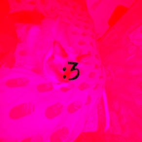 Download track Unavailable BonYoly