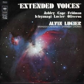Download track She Was A Visitor Alvin Lucier, Brandeis University Chamber ChorusRobert Ashley