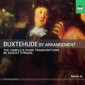 Download track Prelude & Fugue In A Minor, BuxVW 153 (Transcr. A. Stradal For Piano): IV. Toccata Meilin Ai
