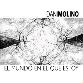 Download track El Fuego Dani Molino