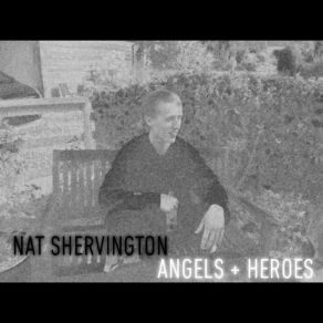 Download track Perfect Picture Nat Shervington