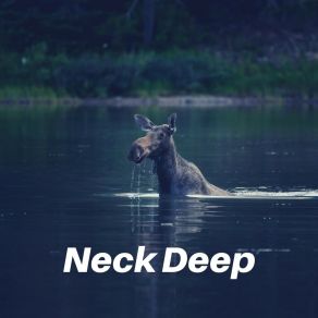 Download track Diary Of A Lofi Addict Lofi Tokyo