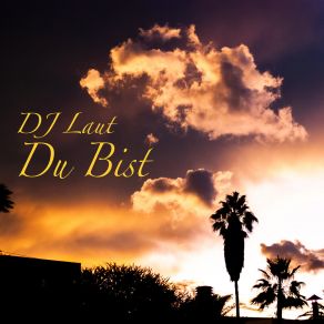 Download track Du Bist DJ LAUT