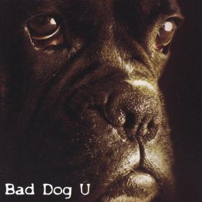 Download track Recess Bad Dog U