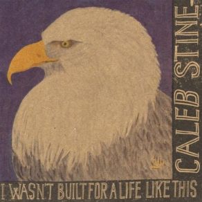Download track Ain't Nobody Caleb Stine