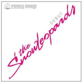 Download track (Don't) Hide Away The SnowLeopards
