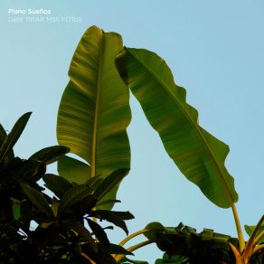 Download track Voy A LLeVARTE Pa Pr Sueños