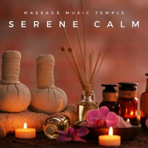 Download track Deep Reflection Massage Music Zone