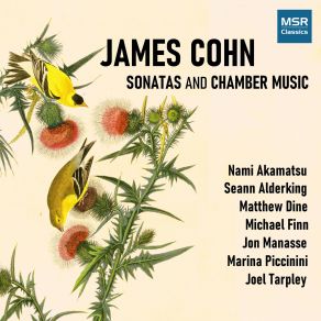 Download track Sonata Robusta For Bassoon And Piano, Op. 55: III. Adagio Espressivo - Allegro Con Fuoco Michael Finn