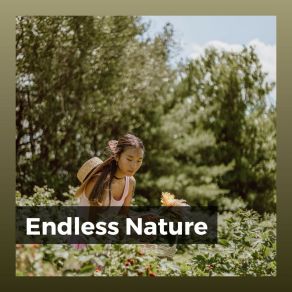 Download track Streams Flow Continually River Sounds