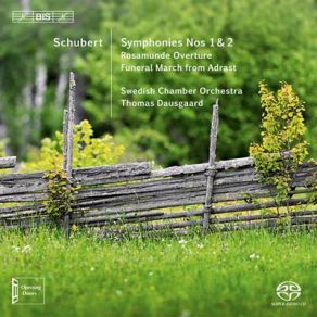 Download track Symphony No. 2 In B Flat Major, D125 1814-15 - III. Menuetto. Allegro Vivace Franz Schubert, Swedish Chamber Orchestra