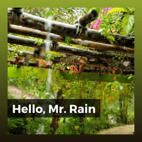 Download track Excursion In A Rainforest Relaxing Rain