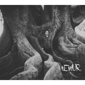 Download track It's Not Funny Anymore Teitur