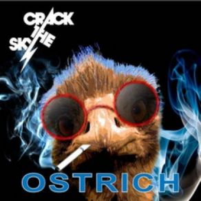 Download track Your House Is On Fire Crack The Sky