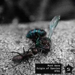 Download track Genesis (Original Mix) Must Wave