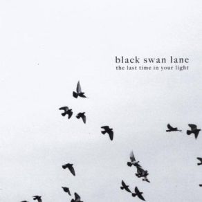 Download track Lord, Please Show Me Why Black Swan Lane