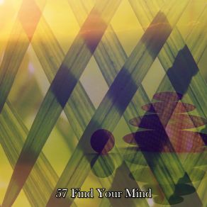 Download track Conclude Your Resolution White Noise Therapy