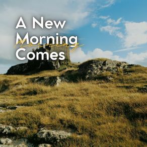 Download track Partial Elements Calming Sounds