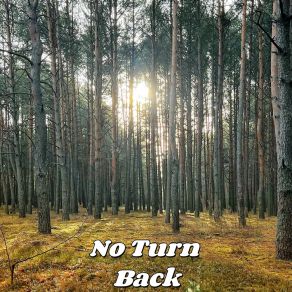 Download track Return To Normal Crawford Hickle