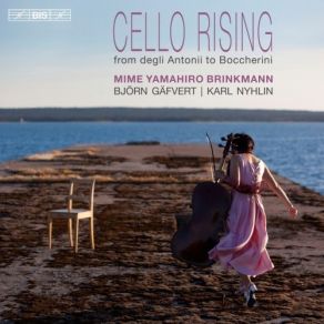 Download track 10. Georg Philipp Telemann - Sonata In D Major For Cello And B. C. TWV 41: D6 - II. Allegro Mime Yamahiro Brinkmann