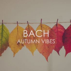 Download track Orchestral Suite No. 2 In B Minor, BWV 1067: 7. Menuet Musica Antiqua Koln, Reinhard Goebel