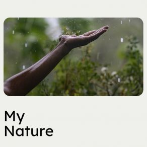 Download track Raining Sounds On Repeat Recording Nature