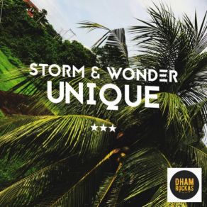 Download track Linked Storm & Wonder