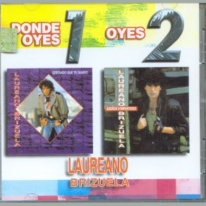 Download track Sueños Compartidos Laureano Brizuela