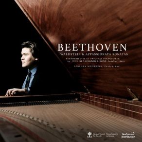 Download track 03 - Piano Sonata No. 21 In C Major, Op. 53 Waldstein - III. Rondo. Allegretto Moderato - Prestissimo Ludwig Van Beethoven