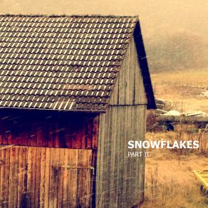 Download track Overcoming The Limitations Of Habitual Forms SnowflakesAcnode