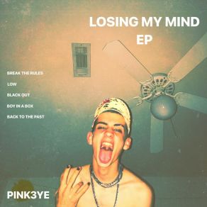 Download track Boy In A Box Pink3ye
