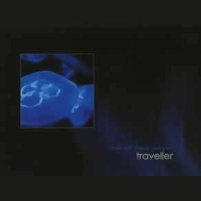 Download track Concealed Polygon, Arbre Noir