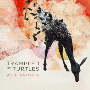 Download track Come Back Home Trampled By Turtles