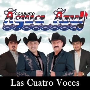 Download track Cual Adios Conjunto Agua Azul