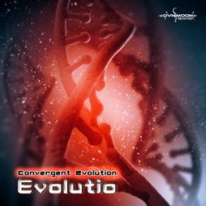 Download track Human Evolution Convergent Evolution