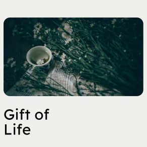 Download track Day Off Relaxation, Pt. 14 Relaxation Mentale