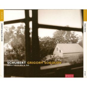 Download track Piano Sonata No. 21 In B Flat Major, D. 960: 4. Allegro Ma Non Troppo Franz Schubert