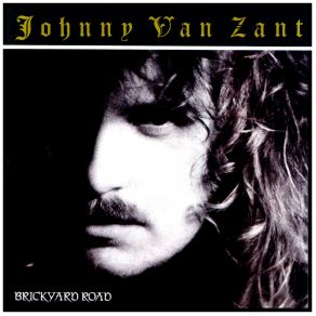 Download track Cold Hearted Woman Johnny Van Zant