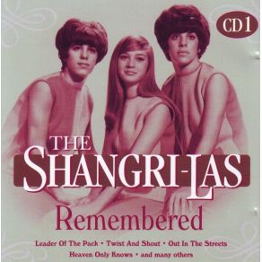 Download track The Boy The Shangri - Las