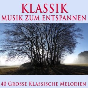 Download track Violin Concerto No. 2 In G Minor, Op. 63: I. Allegro Moderato Artur RubinsteinBoston Symphony Orchestra, Jascha Heifetz, Charles Munch