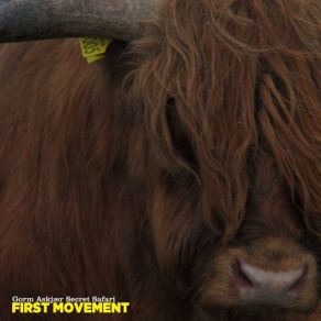 Download track First Movement Gorm Askjær Secret Safari