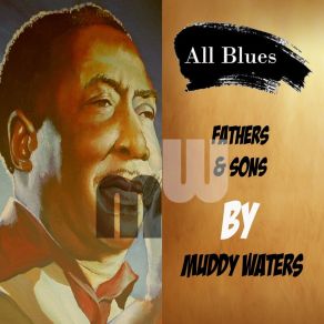 Download track Can't Lose What You Ain't Never Had Muddy Waters
