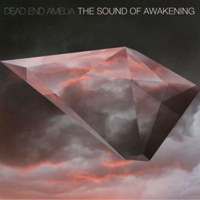 Download track Simple Boy Dead End Amelia