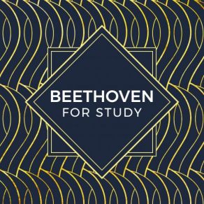 Download track Beethoven- String Quartet No. 15 In A Minor, Op. 132 - 5. Allegro Appassionato Ludwig Van Beethoven