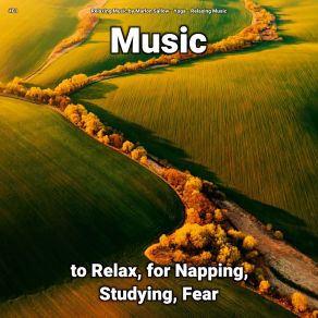 Download track Relaxing Music To Work To Relaxing Music