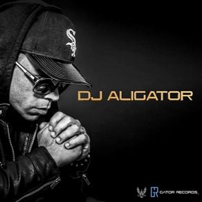 Download track Davaj Davaj DJ Aligator