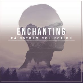 Download track Rain To Fall Asleep (Loopable, No Fade) Lush Rain Creators