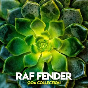 Download track Splinter In Your Mind Raf Fender